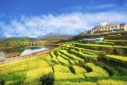 玉山镇八字测算技术，助力农业现代化的利器