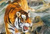 猛虎下山，解读能量的流动与平衡