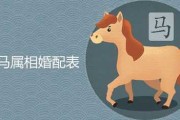 今天生肖马，运势如何？