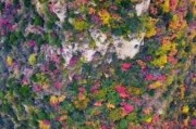 上山下山，解读自然力量对人生的影响