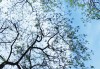 好，用户让我写一篇关于订婚吉时是几月份开始的文章。首先，我需要明确用户的需求。他们可能是在考虑结婚，想知道订婚的吉时，或者是在寻找相关的传统文化知识