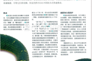 上坡蛇，解读与解梦解析