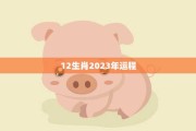 本月生肖猪运势全解析