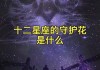 十二星座的花，花开得美不起来！