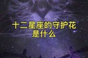 十二星座的花，花开得美不起来！