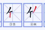 竹字起名字吉凶，揭秘竹字背后的文化寓意与运势解析