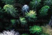 好，用户让我写一篇关于楼梯看到蜈蚣的预兆解梦的文章。首先，我需要确定文章的标题，得吸引人又相关。，内容部分要详细，不少于826个字，涵盖楼梯和蜈蚣的象征意义，以及它们组合在一起的寓意