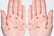 揭秘掌中奥秘，为什么看手掌能算命