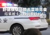 梦见野猪堵路，预兆与解梦的深层解析