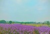 李晨，光下的希望与新生
