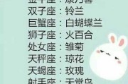 十二星座与花语，浪漫的星座之花解析