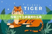 属虎明天运势解析，Tiger’s Day Ahead