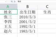 木子生肖吉凶表格解析