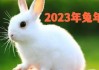 2020年6月生肖兔运势解析，兔年运程如何？