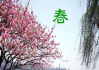 春杨名字吉凶查询，孩子未来发展的关键
