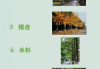 中家中花坛种什么树好，学与植物搭配的艺术