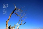 花草树木皆有德，字里行间藏—解析卉字起名吉凶