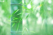 十二星座的自由人，自由与束缚的天秤