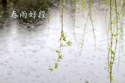 好，用户让我写一篇关于雨字名字吉凶的文章，先写标题，再写内容，内容不少于982个字。首先，我需要理解用户的需求。他们可能是在寻找关于名字吉凶的分析，特别是以雨字为主的名字