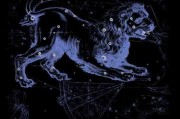十二宫土狮子星座是什么 十二宫土狮子星座是什么