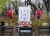 神堂花摆放的智慧