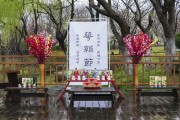 神堂花摆放的智慧