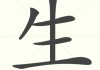 生了龙宝宝怎么取名字女孩，传承与创新的艺术