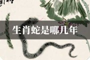 2018年生肖蛇与生肖鼠运势解析