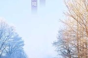 2020年正月吉时，一场的春节文化体验