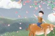 好，用户让我写一篇关于生肖猴女今年运势的文章，首先我需要确定文章的标题。考虑到生肖和运势，标题可以是生肖猴女今年运势解析，事业与感情的双重 focus