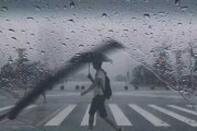 十二星座最怕什么雨