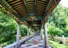 南华寺求签在哪个殿下上香？历史与文化中的仪式