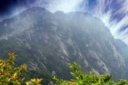 山上看见黄龙，预兆与解梦