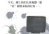 好，用户让我写一篇关于死前看见老鼠预兆的解梦文章。首先，我需要确定文章的标题，得吸引人又相关。，内容部分要涵盖解梦学的理论，以及老鼠在不同文化中的象征意义，还要结合个人经验，让文章更有说服力
