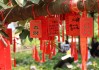 怎么写祈求签文字内容