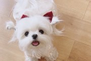 马星算命，女生也能看懂的神秘力量