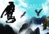 好，用户让我写一篇关于鹰鹊同林求子解签的文章，首先得确定标题。标题要简洁又能吸引人，我想到鹰鹊同林，解签人生，寻找生命的意义这个标题不错，既有诗意又点明了主题