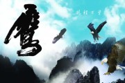 好,用户让我写一篇关于鹰鹊同林求子解签的文章,首先得确定标题。标题要简洁又能吸引人,我想到鹰鹊同林,解签人生,寻找生命的意义这个标题不错,既有诗意又点明了主题 好,用户让我写一篇关于鹰鹊同林求子解签的文章,首先得确定标题。标题要简洁又能吸引人,我想到鹰鹊同林,解签人生,寻找生命的意义这个标题不错,既有诗意又点明了主题
