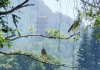 浮烟山朝观求签，自然与人文的和谐共生
