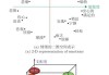 情感签的解码之旅，从符号到心灵的解惑