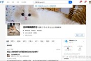 新家养什么猫好吉利