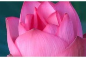 6月份接福生肖运势