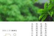 雨水与鱼，解读生活中的隐秘符号