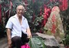 组求签播放大全，探索传统智慧与现代科技的结合