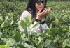 毛性女宝宝取名，传统与现代的结合