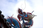 变色龙，周公解的神秘象征