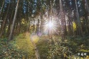 2025初一吉时吉日，传统与现代的结合
