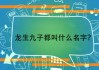 属龙宝宝取名字，传统文化与现代美学的结合