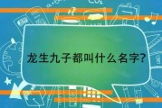 属龙宝宝取名字，传统文化与现代美学的结合
