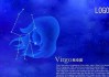 十二星座龙，跨越文化与星座的奇妙联想